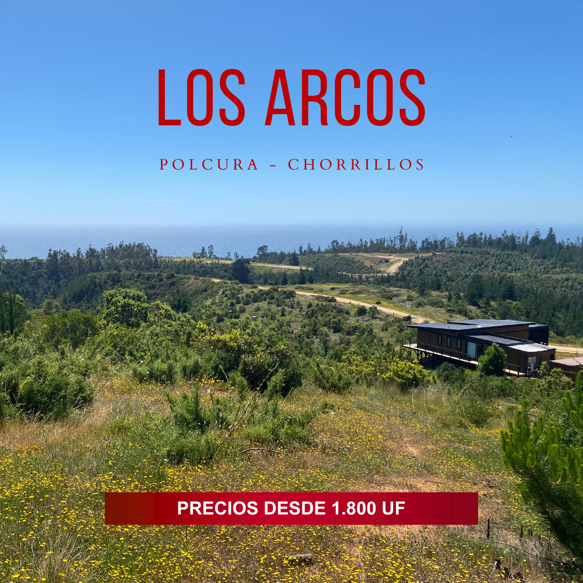 Proyecto Los Arcos
