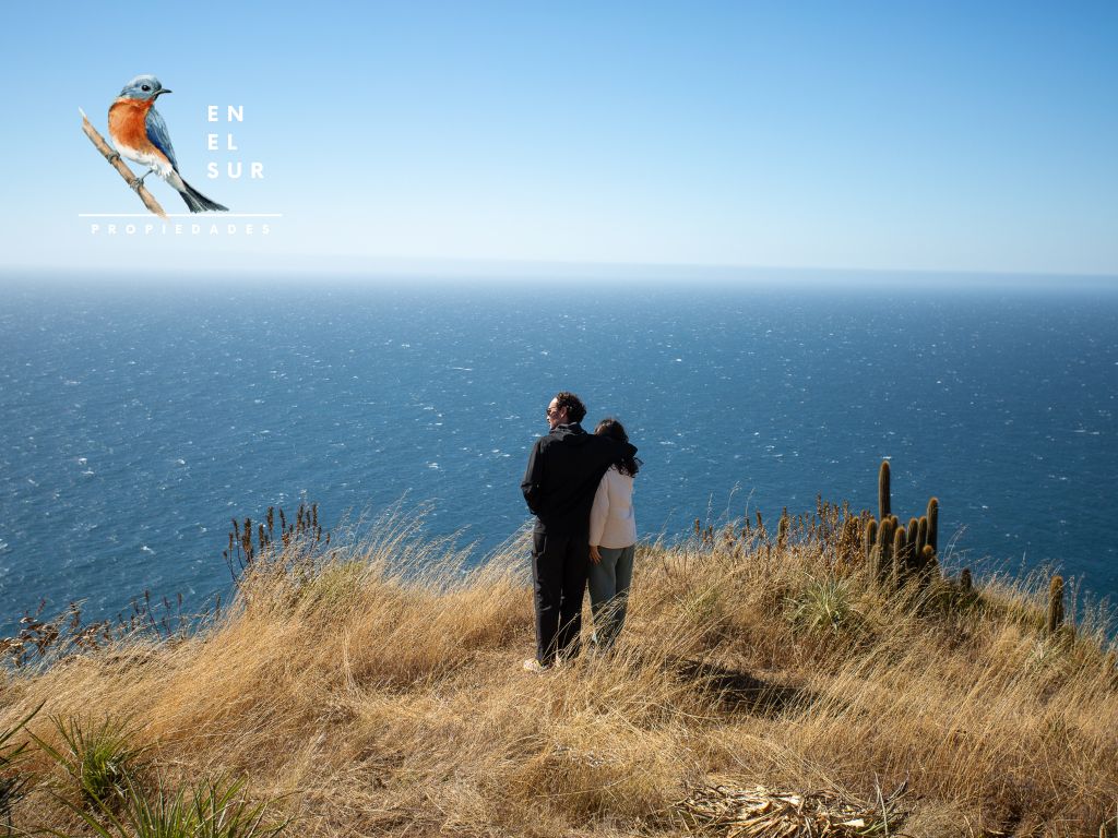 Miradores de Polcura