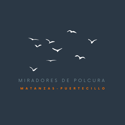 Miradores de Polcura