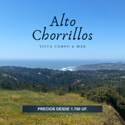 Alto Chorrillos