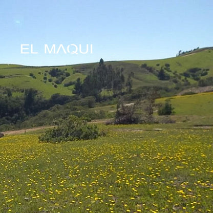 EL MAQUI MATANZAS - PUPUYA